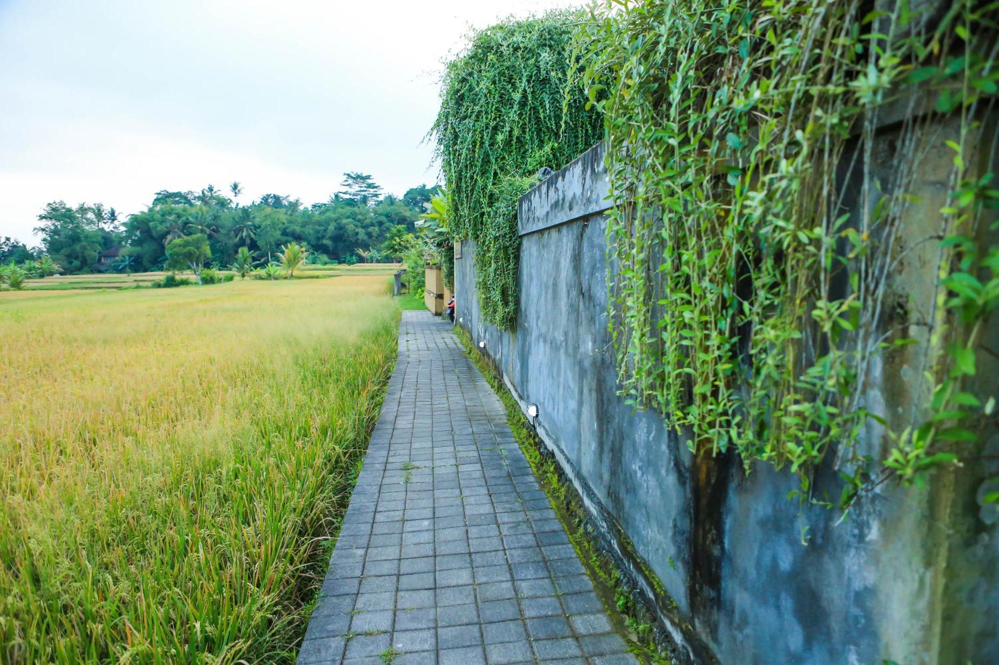 Heaven Villa Ubud Exteriör bild