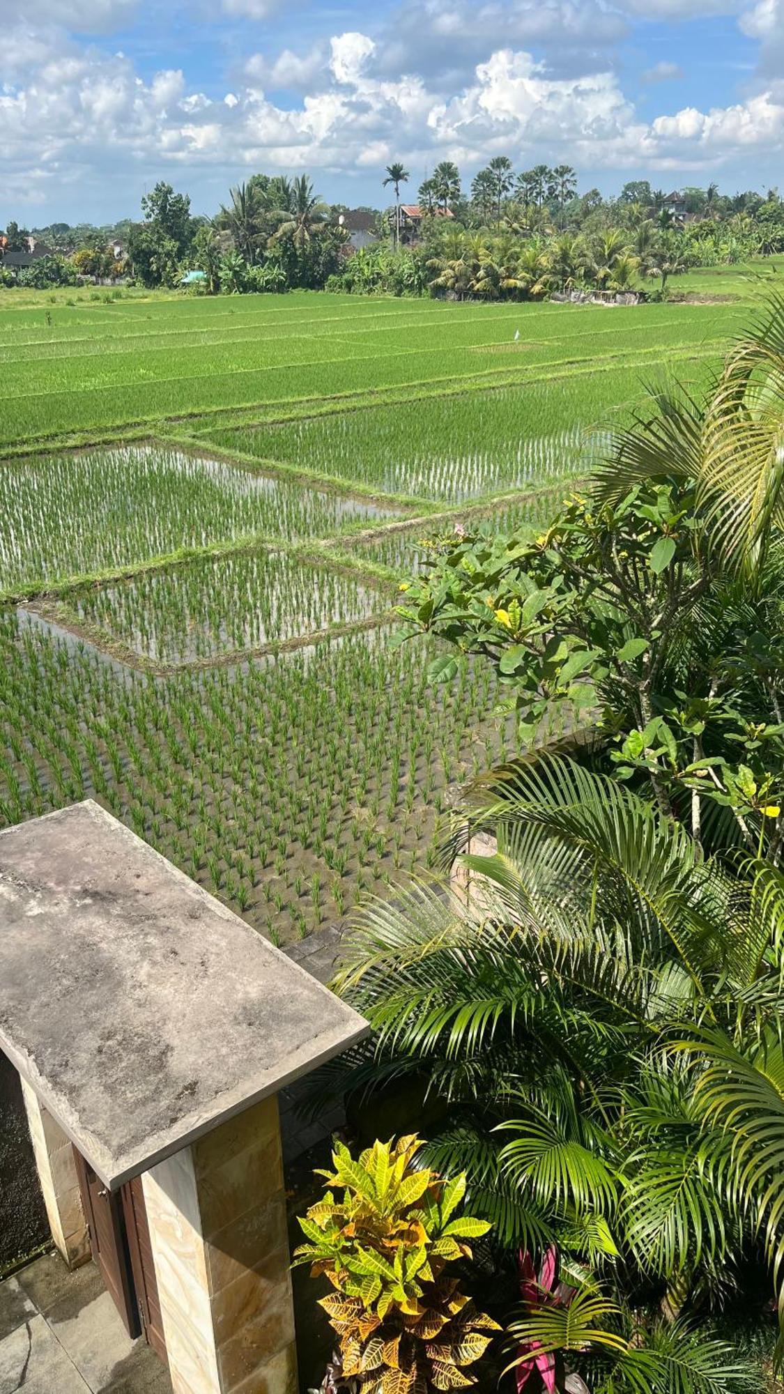 Heaven Villa Ubud Exteriör bild