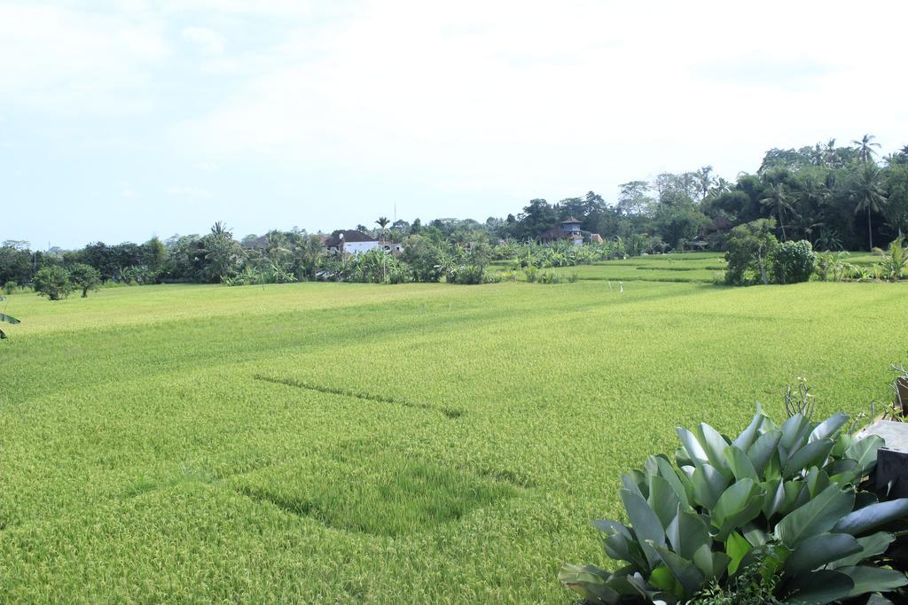 Heaven Villa Ubud Exteriör bild