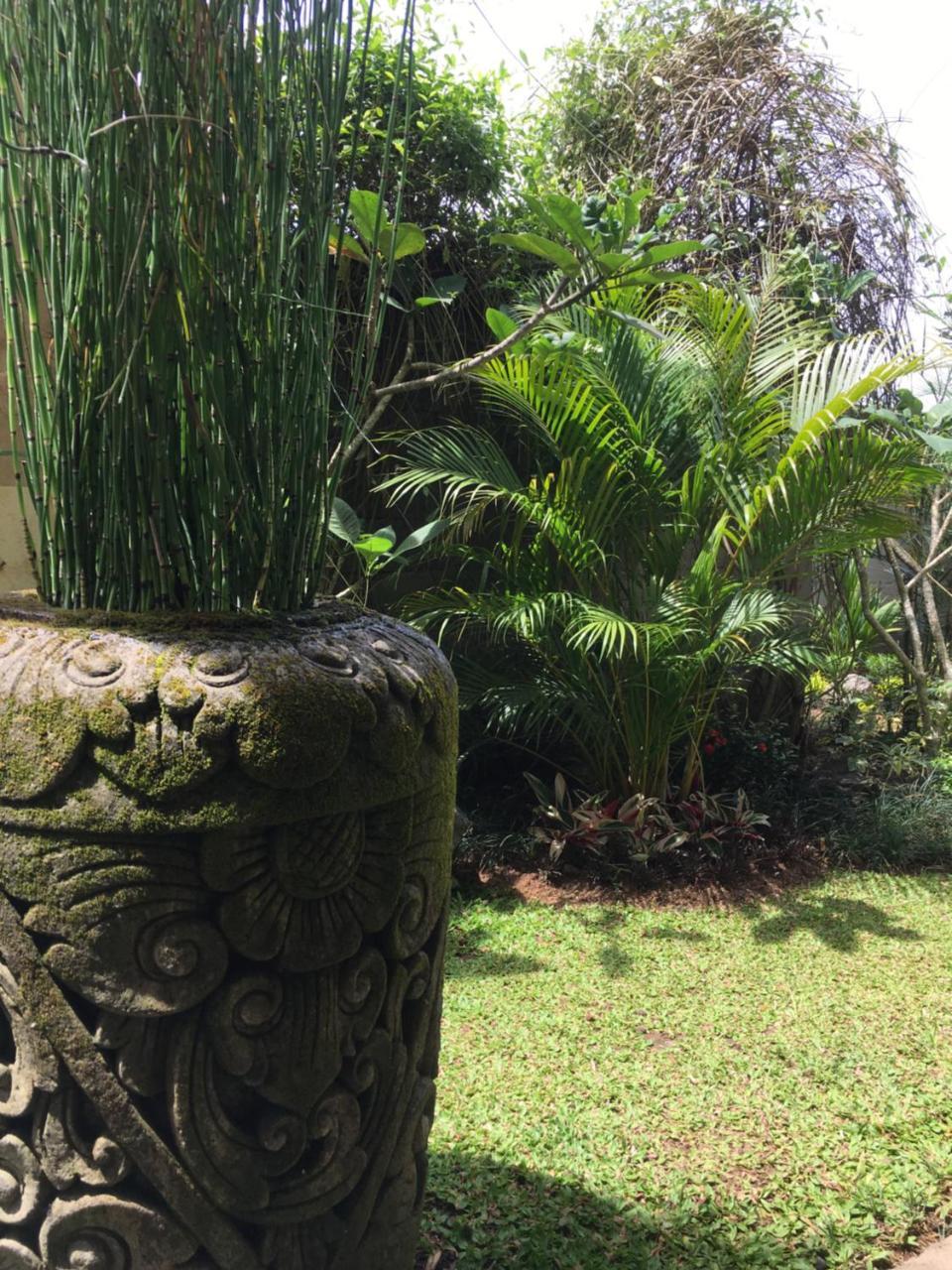 Heaven Villa Ubud Exteriör bild