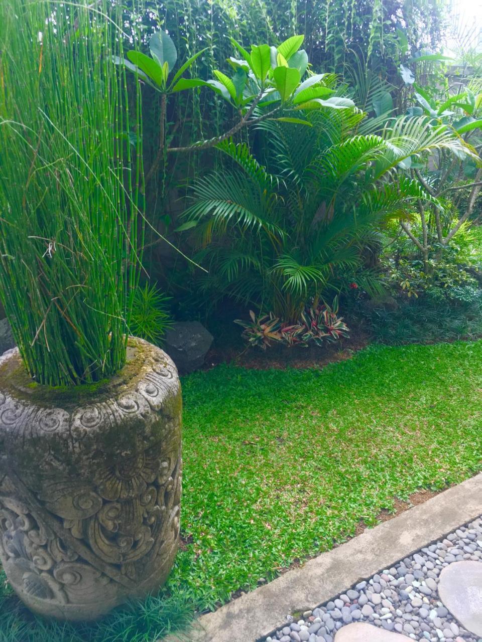 Heaven Villa Ubud Exteriör bild
